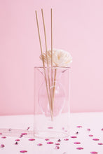 Cargar imagen en el visor de la galería, Double Layer Transparent Glass Vase - Pink
