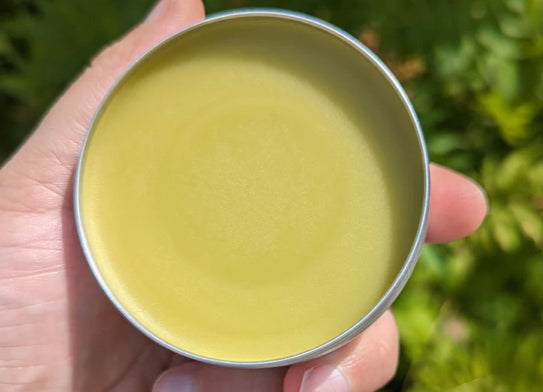 Calendula Salve